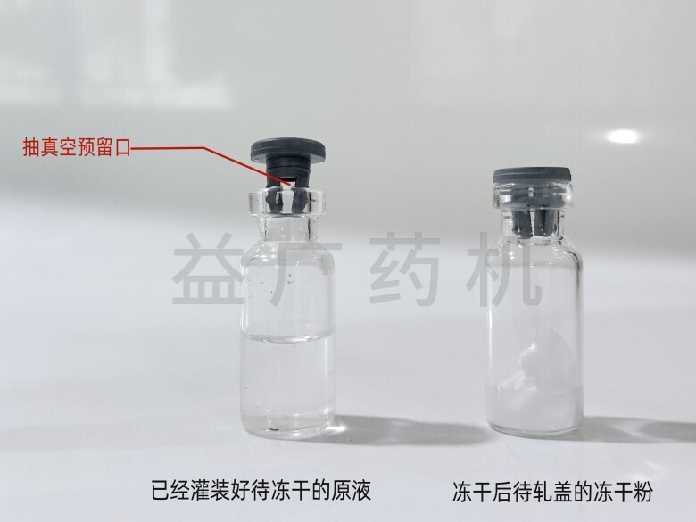 未凍干和凍干粉對(duì)比 未凍干和凍干粉對(duì)比